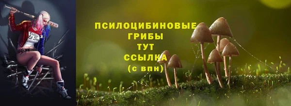 сатива Абинск