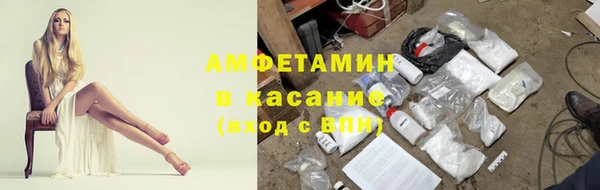 сатива Абинск