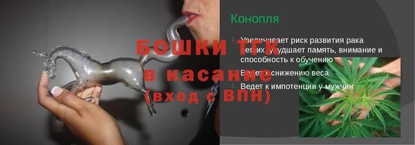 сатива Абинск