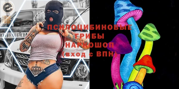 гашик Абдулино