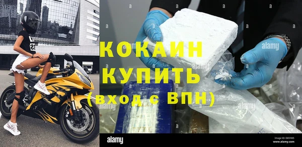 сатива Абинск