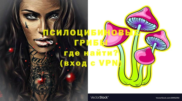 гашик Абдулино